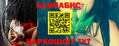 крисы Шелехов