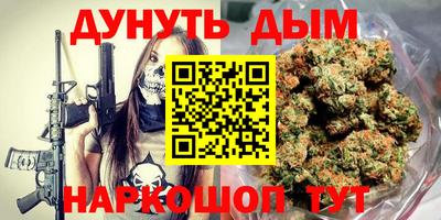 крисы Шелехов