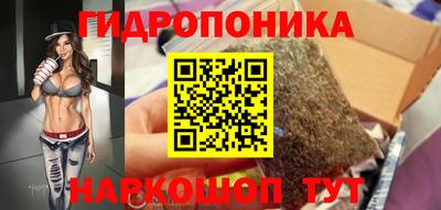 крисы Шелехов