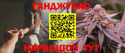 крисы Шелехов