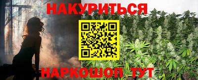 крисы Шелехов