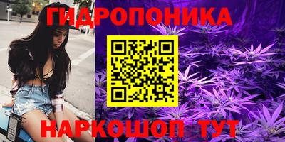 индика Шахты