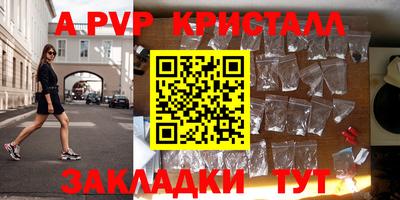 крисы Шелехов